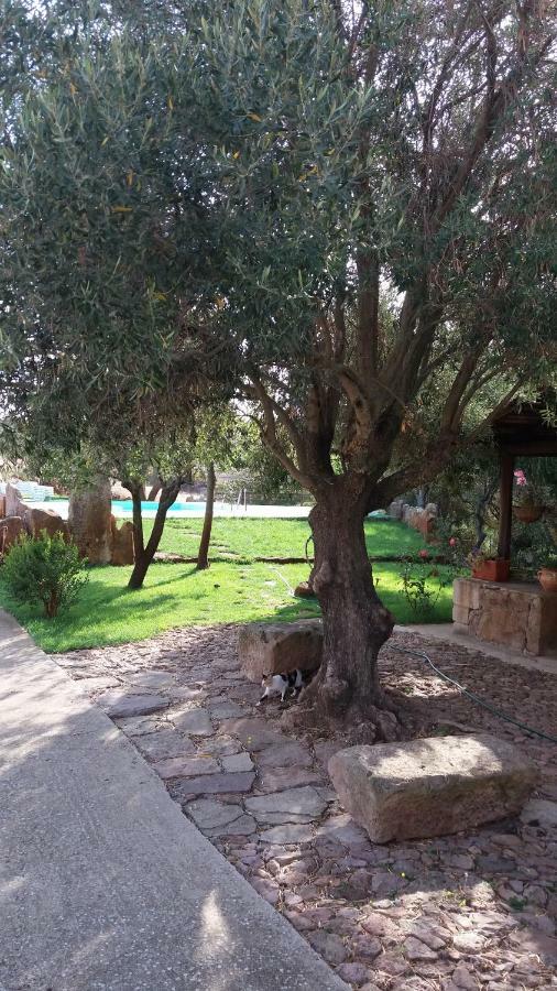Agriturismo Sa E Padedda Mores Kültér fotó