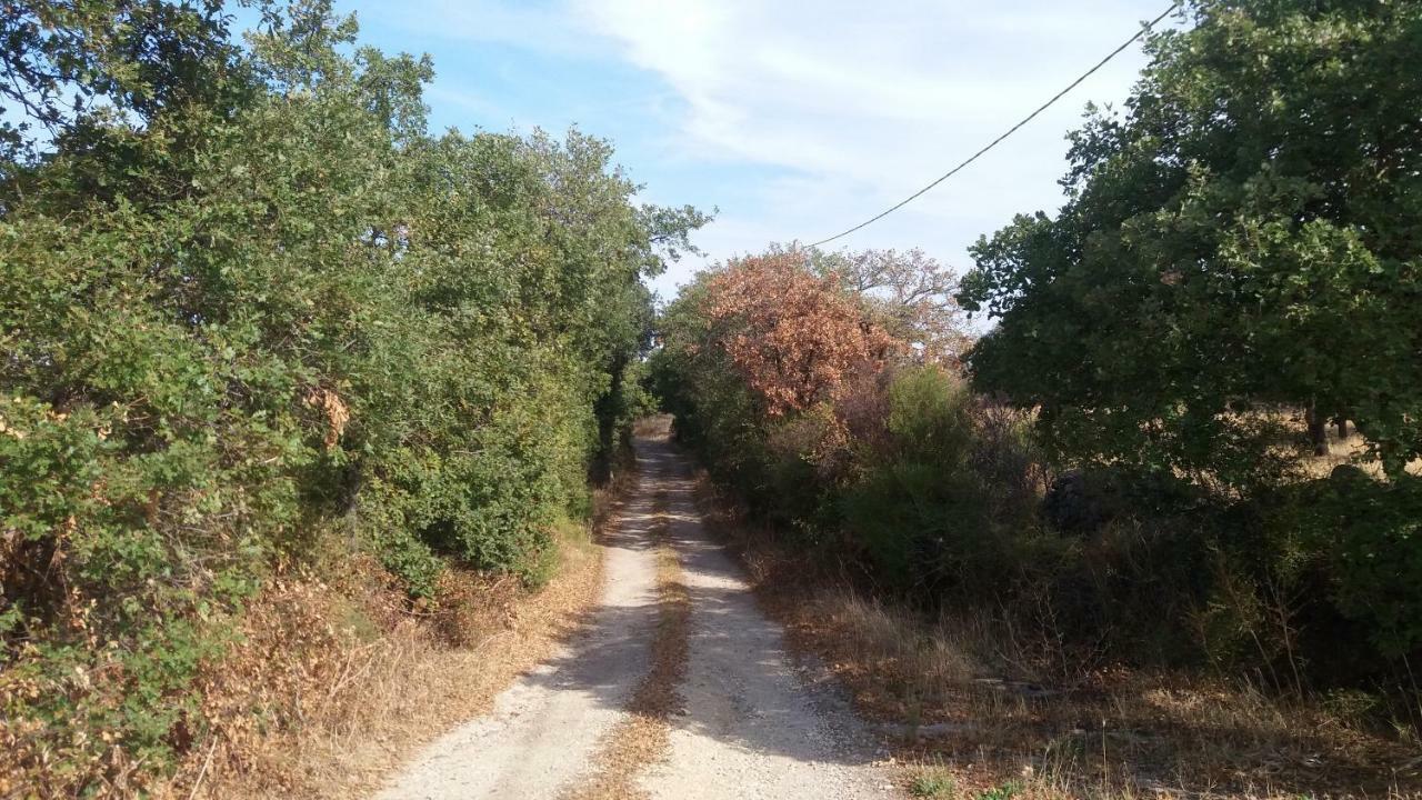 Agriturismo Sa E Padedda Mores Kültér fotó